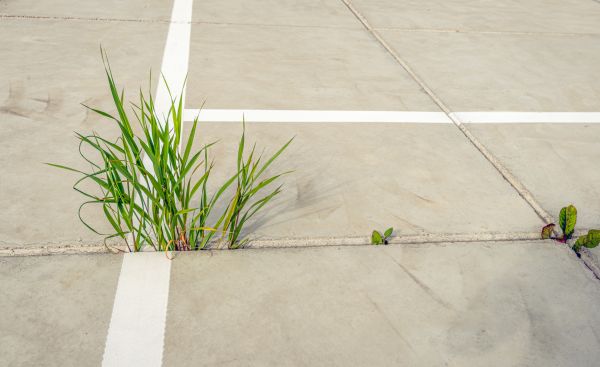 Concrete Parking Installation in Fort Walton Beach